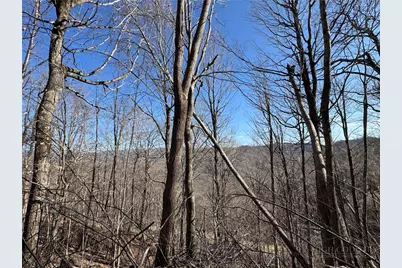 Lot 32 Jewel Weed Trail, Newland, NC 28657 - Photo 8