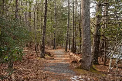 603 Hawk Ridge Road, Deep Gap, NC 28618 - Photo 32