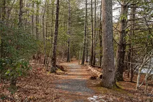 603 Hawk Ridge Rd, Deep Gap, NC 28618 - Photo 32