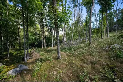 Es94 Twisted Oak Path, Banner Elk, NC 28604 - Photo 2