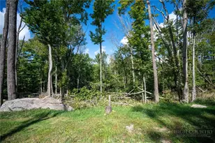 Es94 Twisted Oak Path, Banner Elk, NC 28604 - Photo 1
