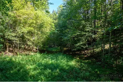 3305 Zacks Fork Road, Lenoir, NC 28645 - Photo 28