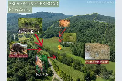 3305 Zacks Fork Road, Lenoir, NC 28645 - Photo 38