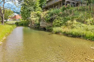 2277 Old US Hwy 421, Vilas, NC 28692 - Photo 8