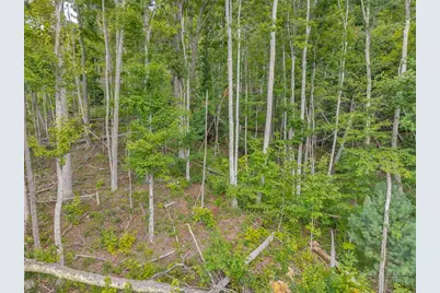 Lot C-94 Foxfire Road, Banner Elk, NC 28604 - Photo 32