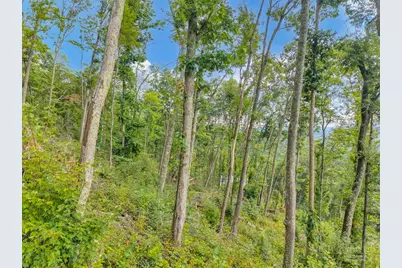 C-95 Foxfire Road, Banner Elk, NC 28604 - Photo 32
