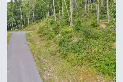 C-95 Foxfire Road, Banner Elk, NC 28604 - Photo 10