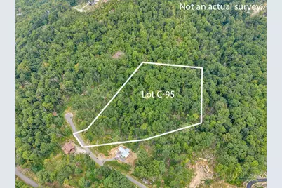 C-95 Foxfire Road, Banner Elk, NC 28604 - Photo 4