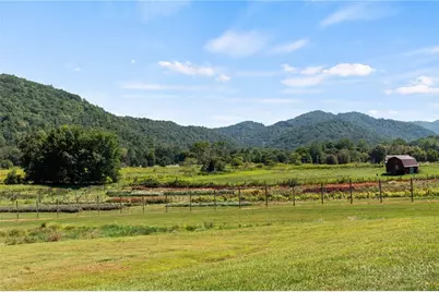 386 Little River Road, Sugar Grove, NC 28679 - Photo 44