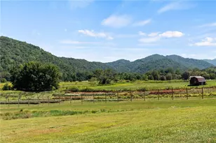 386 Little River Rd, Sugar Grove, NC 28679 - Photo 44