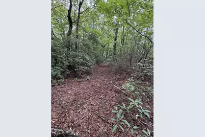 Lot 11 Bell Branch Road, Hays, NC 28635 - Photo 4