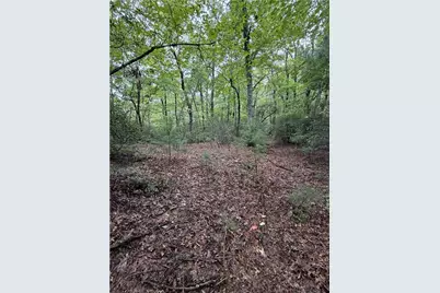 Lot 11 Bell Branch Road, Hays, NC 28635 - Photo 8