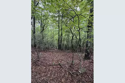Lot 11 Bell Branch Road, Hays, NC 28635 - Photo 6
