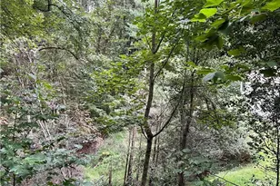 2294 Shulls Mill, Boone, NC 28607 - Photo 28
