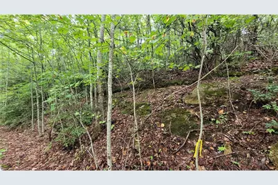 Xx Gumtree Road, Beech Mountain, NC 28604 - Photo 2