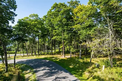 Tbd (Lot 8) Chappell Farm Road, Banner Elk, NC 28604 - Photo 8