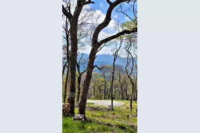 Tbd (Lot 8) Chappell Farm Road, Banner Elk, NC 28604 - Photo 4