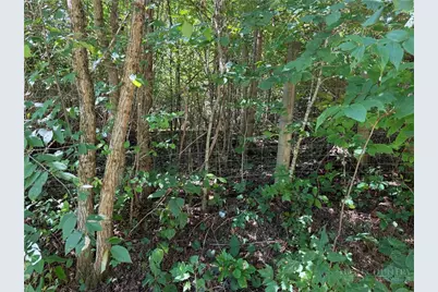 Tbd Irwin Grocery Road, Laurel Springs, NC 28644 - Photo 30