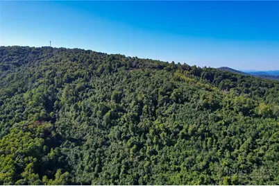 Tbd Irwin Grocery Road, Laurel Springs, NC 28644 - Photo 48