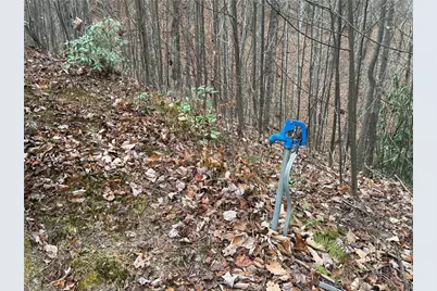 Lot 218 Casey Mountain Road, Purlear, NC 28665 - Photo 10