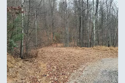 Lot 218 Casey Mountain Road, Purlear, NC 28665 - Photo 4