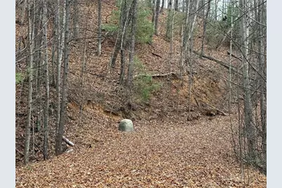 Lot 218 Casey Mountain Road, Purlear, NC 28665 - Photo 6
