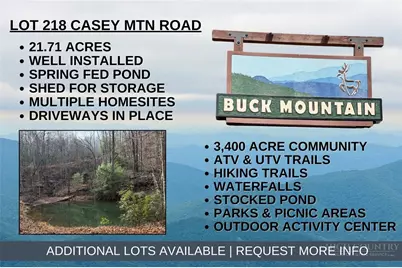 Lot 218 Casey Mountain Road, Purlear, NC 28665 - Photo 1