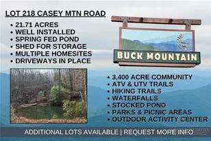 Lot 218 Casey Mountain Rd, Purlear, NC 28665 - Photo 1