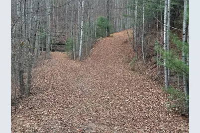 Lot 218 Casey Mountain Road, Purlear, NC 28665 - Photo 22