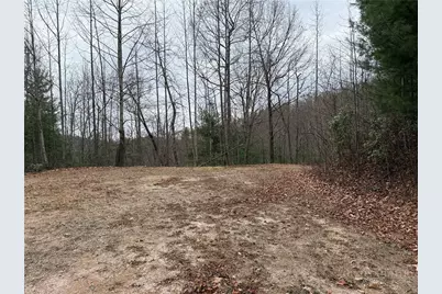Lot 218 Casey Mountain Road, Purlear, NC 28665 - Photo 14