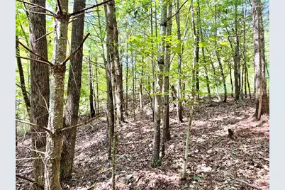 3.31 Acres, Lot 37 Poplar Bluff Drive, Lenoir, NC 28645 - Photo 6