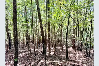 3.31 Acres, Lot 37 Poplar Bluff Drive, Lenoir, NC 28645 - Photo 1