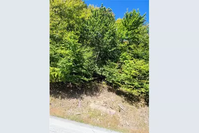 113 E Blueberry Lane, Beech Mountain, NC 28604 - Photo 4
