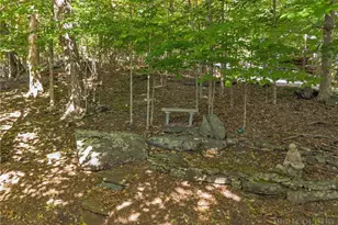 2100 Homestead Rd, Todd, NC 28684 - Photo 42