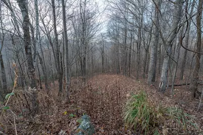 Lot 33 Larkspur Trail, Banner Elk, NC 28604 - Photo 18