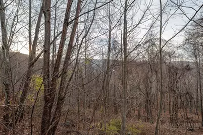 Lot 33 Larkspur Trail, Banner Elk, NC 28604 - Photo 16