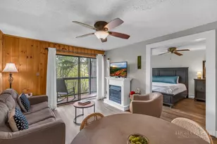 103 Mid Holiday Ln, Beech Mountain, NC 28604 - Photo 10