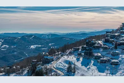 103 Mid Holiday Lane #D116, Beech Mountain, NC 28604 - Photo 28