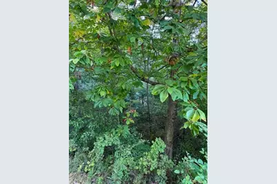 Tbd Fishers Peak View, Ennice, NC 28623 - Photo 4