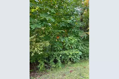 Tbd Fishers Peak View, Ennice, NC 28623 - Photo 14