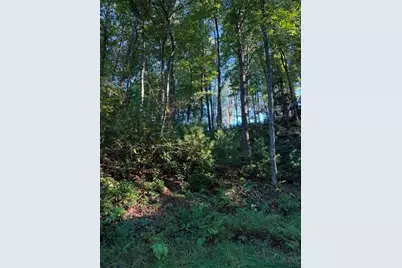 Tbd Fishers Peak View, Ennice, NC 28623 - Photo 6