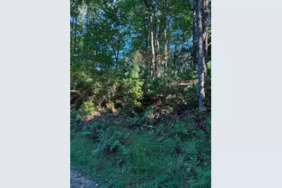 Tbd Fishers Peak View, Ennice, NC 28623 - Photo 8