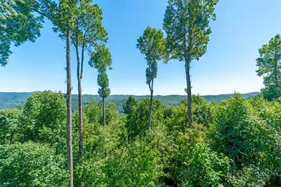 277 Indian Paintbrush Drive #R111, Banner Elk, NC 28604 - Photo 16