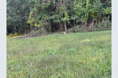Tbd New Haven Road, Sparta, NC 28675 - Photo 4