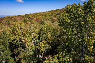 Es49 Rippling Waters Trail, Banner Elk, NC 28604 - Photo 22