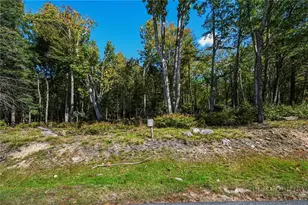 Es49 Rippling Waters Trail, Banner Elk, NC 28604 - Photo 1
