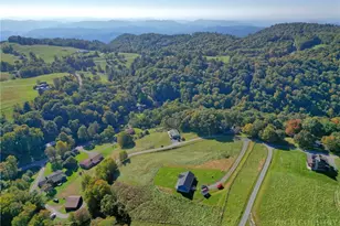 298 Jones Miller, Boone, NC 28607 - Photo 46