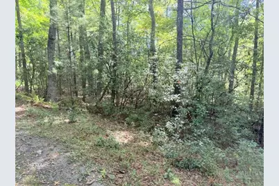 Lot 45 Peace Street, Fleetwood, NC 28626 - Photo 12