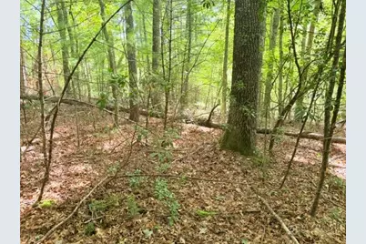Lot 45 Peace Street, Fleetwood, NC 28626 - Photo 6