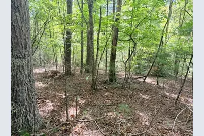 Lot 45 Peace Street, Fleetwood, NC 28626 - Photo 10
